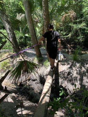 This is a palm tree so it does bend a bit.