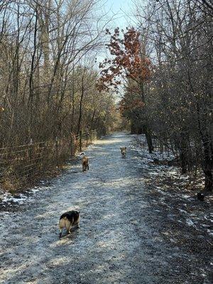 Great walking trails, even in the winter