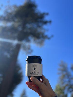 Among the pines with a great cup of coffee.