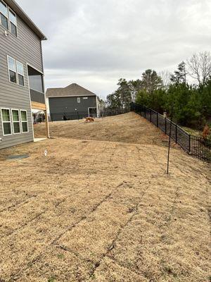 Backyard fence