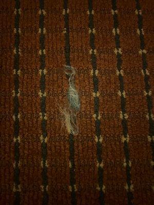 Torn carpet