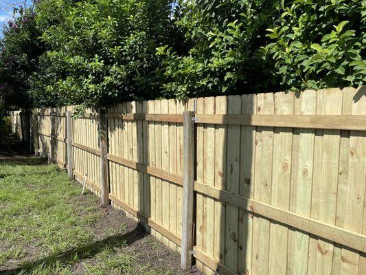 Backyard fence