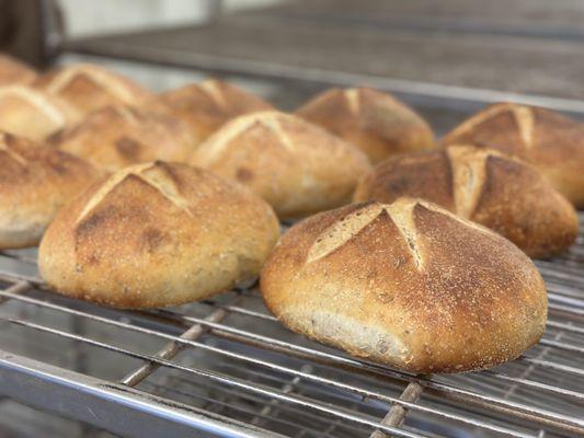 Rosemary Sourdough