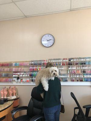 Lots of color to choose from and dog is welcome!