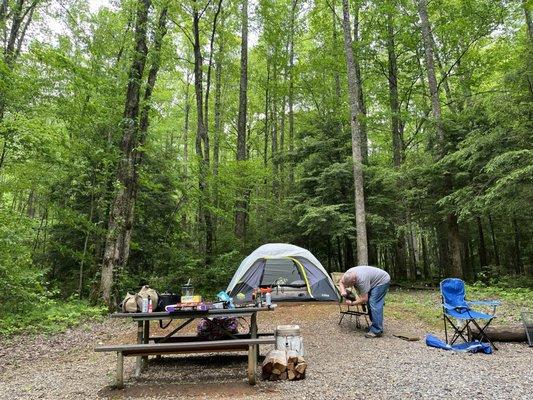 Cosby Campground