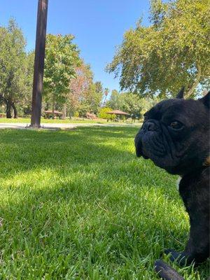 My babe enjoying the park