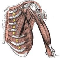 Rib Pain leads to difficulty breating, bending, turning and stretching.