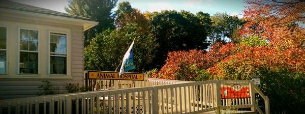 Greenland Veterinary Hospital