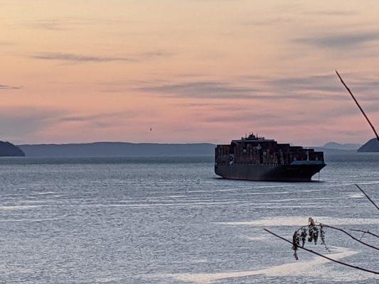 A shipping freighter in the harbor.