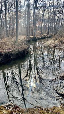 Up is down. Creek reflection.