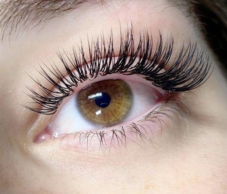 Classic lash lift