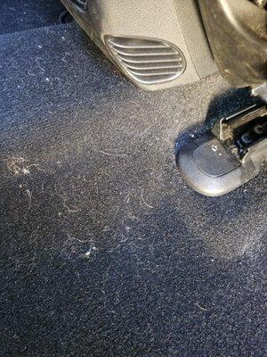 Great vacuum job