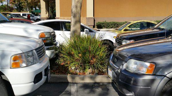 Bad selfish parking job