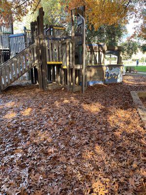 There's a lot of leaves at this park