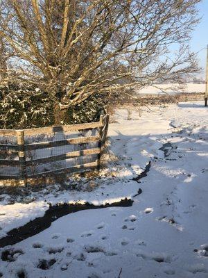 The creek in the snow.