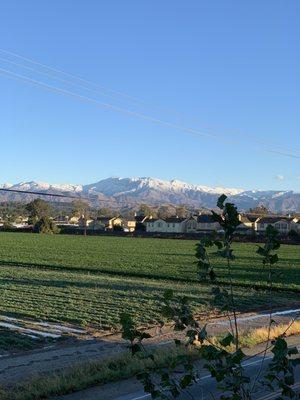 View of the mountains (from our patio) after some cold temps and rain