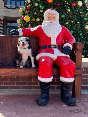 Merry Christmas from Maverick and FYZICAL, Roanoke, TX