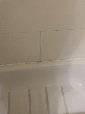 Dirty shower