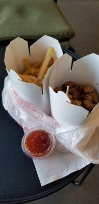 Popcorn Chicken And Parmesan Fries