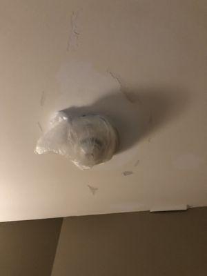 The room i was placed in had a smoke detector that was covered with a bag, mold growing on the ceiling and bugs.