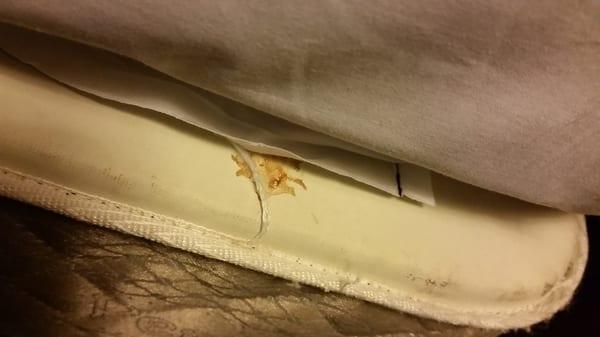 "Stuff" stuck on the bed sheet in plain sight when you pull back the comforter.