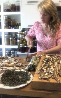 Clinical Herbalist Donna Cleary preparing ethically wildcrafted herbs and mushrooms.