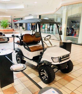 On display at the Citadel Mall