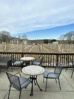 A look out the back Patio