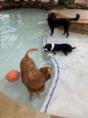 Levi, in the middle, playing with his friends on play day at Forest Shadows!