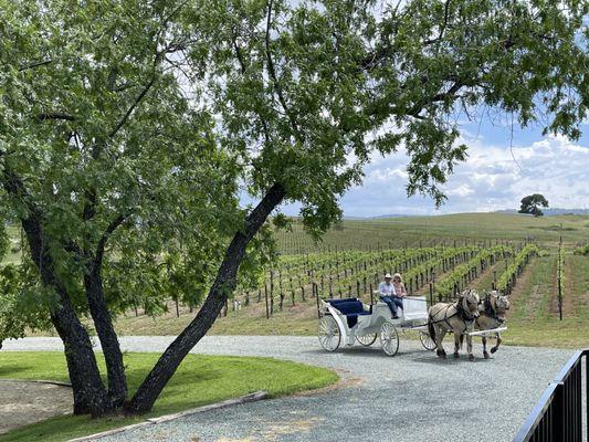 Horse-drawn carriage ride on Mother's Day.