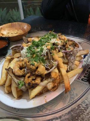 Surf & Turf Fries (Carne Asada & shrimp fries)