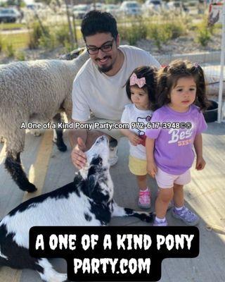 #A1ponyparty #pettingzoo #pettingfarm #pettingzoofun #pettingzooparty #fallfestival #fallfestivalfun