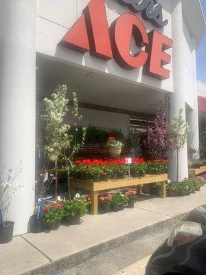 Elder's Ace Hardware-Cleveland