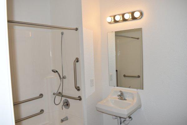 Handicap Accessible Bathroom