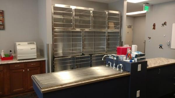 Our Dental Sink in treatment- where we do all of our dental cleanings.