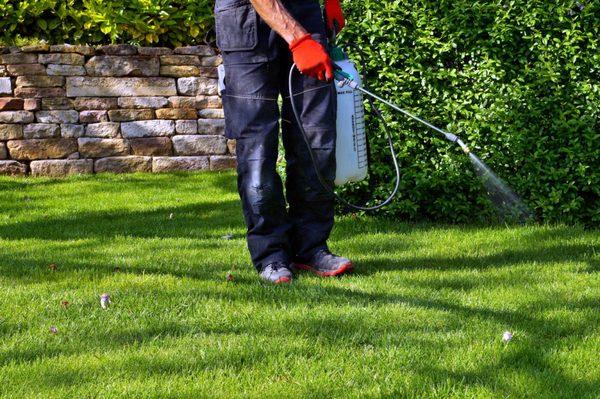 Weed prevention and fertilizing services.