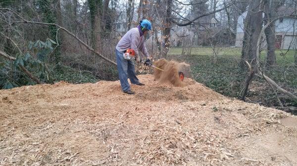 Stump Munchers stump removal services. Power broom clean-up for even the biggest of jobs is no problem for us. www.stumpmunchers.com