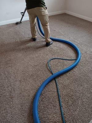 Carpet Steam Cleaning