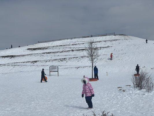 Walkway up the hill