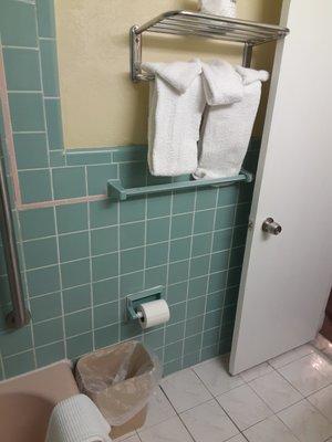 Towels to dry yourself and toilet paper to wipe...