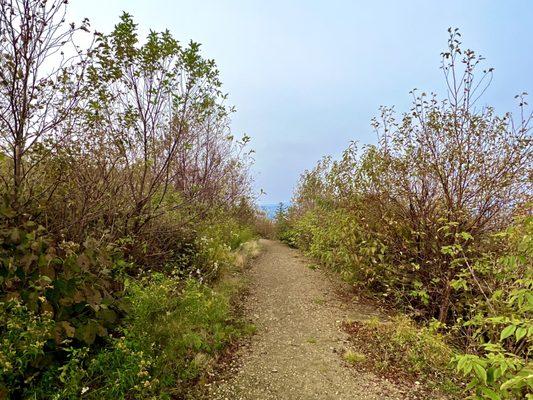 Views from the trail to the lower scenic viewpoint