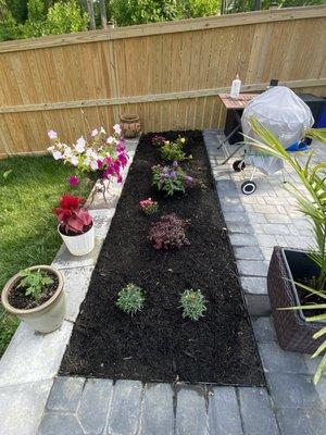 Planted and mulched