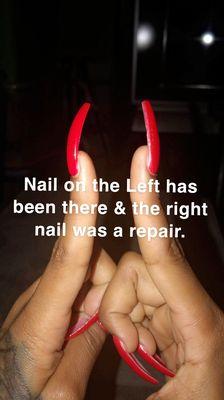 TERRIBLE NAILS