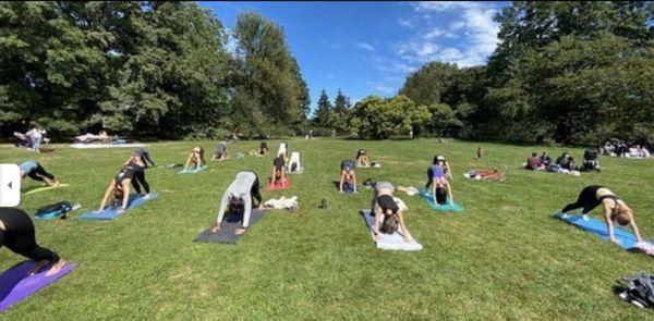 another beautiful pop up yoga in the park