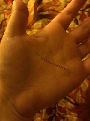 A Cat Whisker