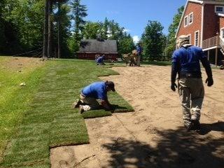 Sod Installation Project