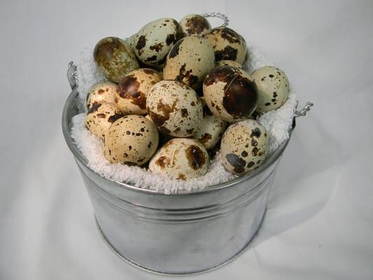 Quail Eggs