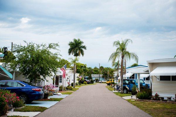 One of our street views at Palm River Mobile Home Park.