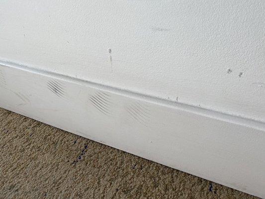 Walls are not wiped down on a regular basis. When they do touch up paint, it's not Matching sheen or color.