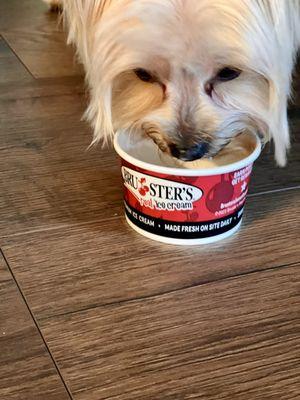 He loved his pup cup!